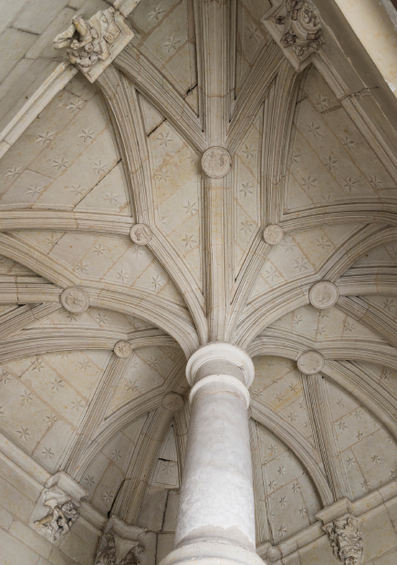 Photo de la voûte "en palmier" de la vis d'escalier, hôtel de Pincé.