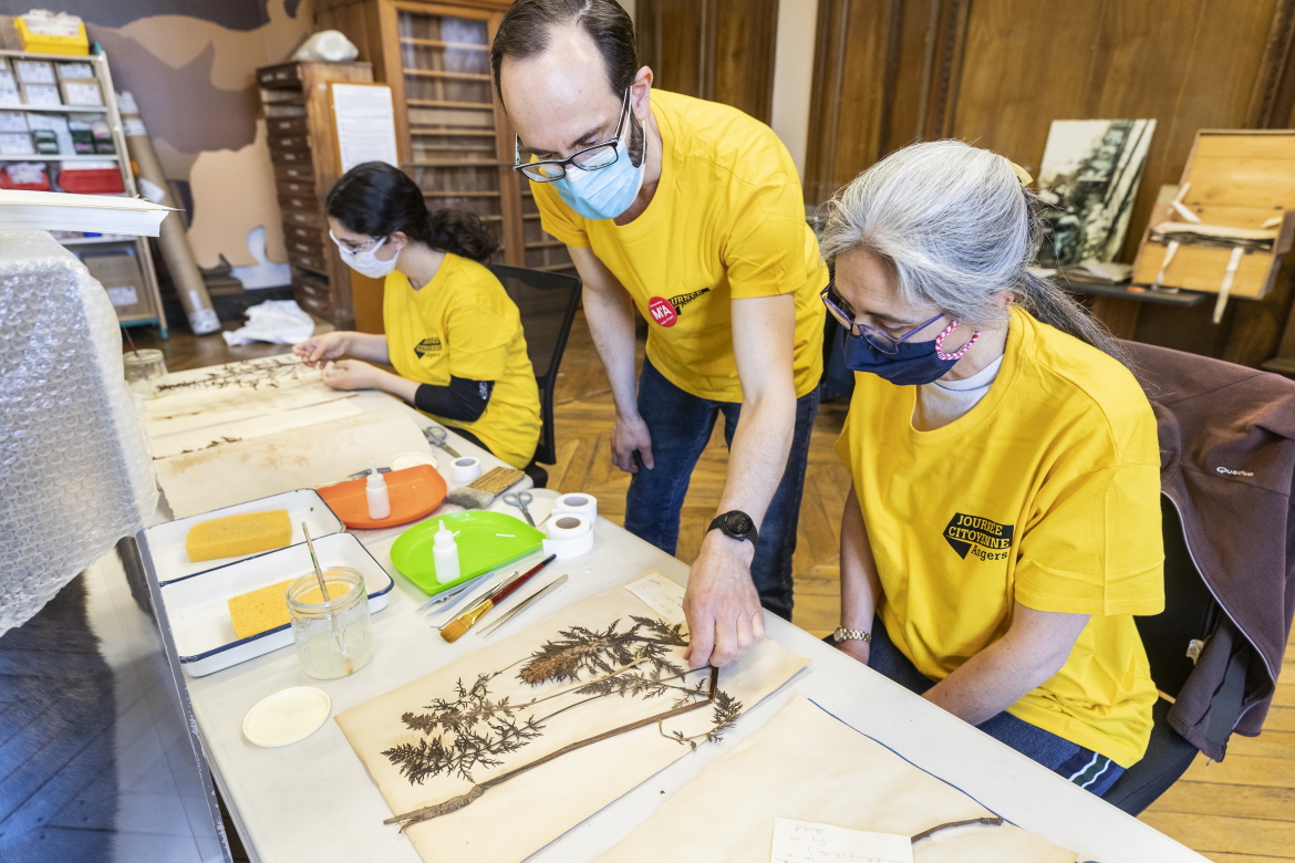 Photo de l'inventaire participatit au muséum des sciences naturelles.