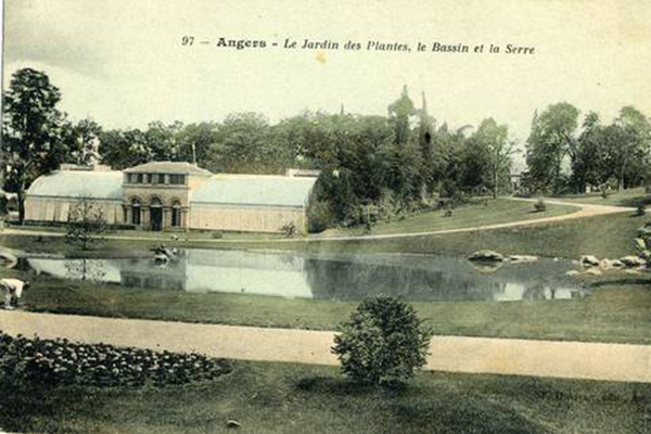 Les serres du jardin des Plantes vers 1905 Archives Municipales 4 Fi 3636
