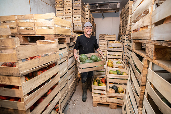 Photo du maraîcher Patrice Lamballe