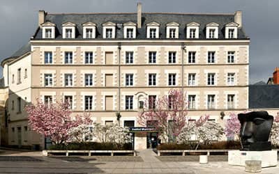 Institut Municipal