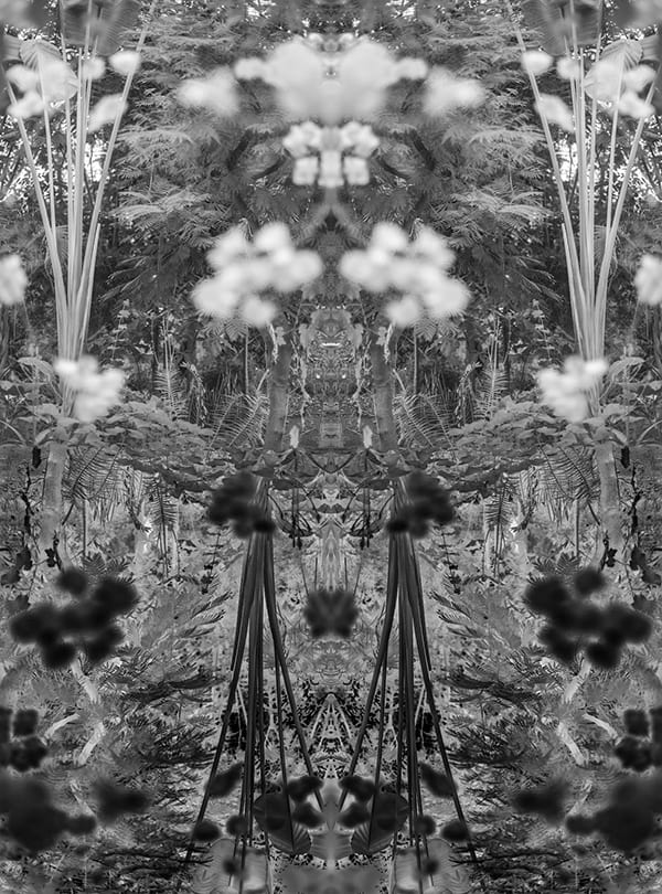 Oeuvre de S&eacute;bastien Camboulive