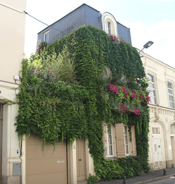 photo du Coup de c&oelig;ur &quot;Nature en ville&quot;