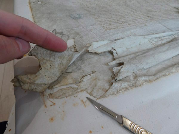 Restauration de la charte fondatrice de la Ville d'Angers