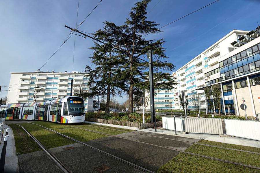 Photo du tram