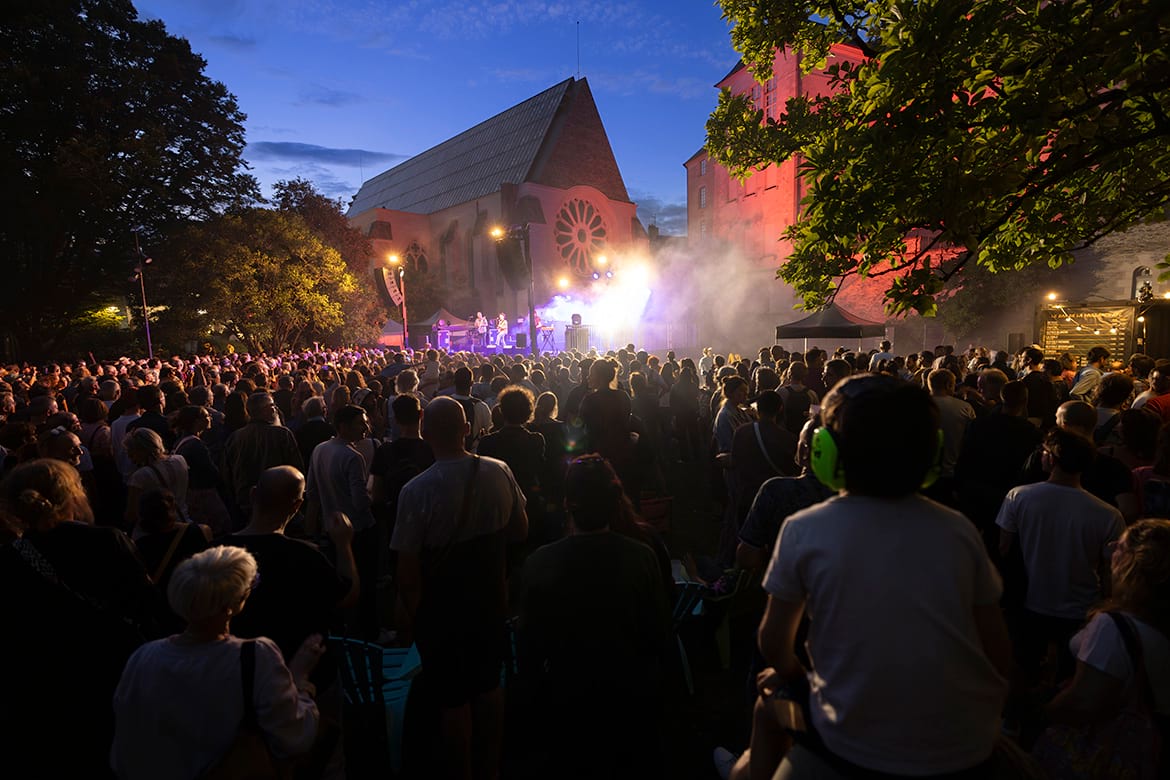 photo d'un concert au jardin des beaux-arts
