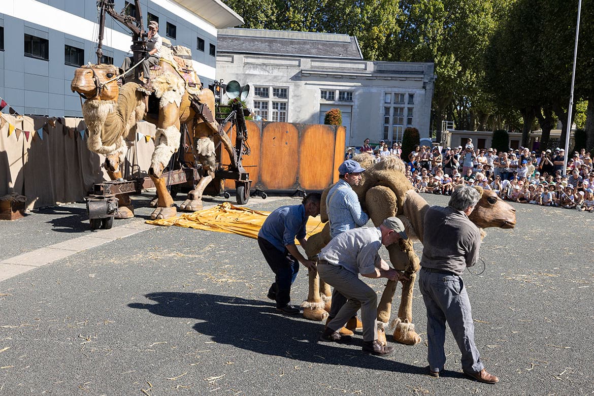 Edition 2026 du festival des Accroche-coeurs &agrave; Angers