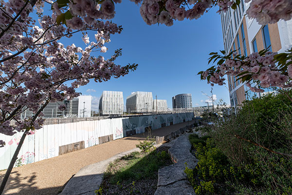 Photo de l&#039;am&eacute;nagement du cours Saint-Laud