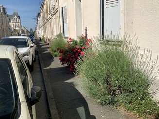 photo de l&#039;am&eacute;nagement v&eacute;g&eacute;tal