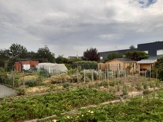 photo de l'aménagement végétal