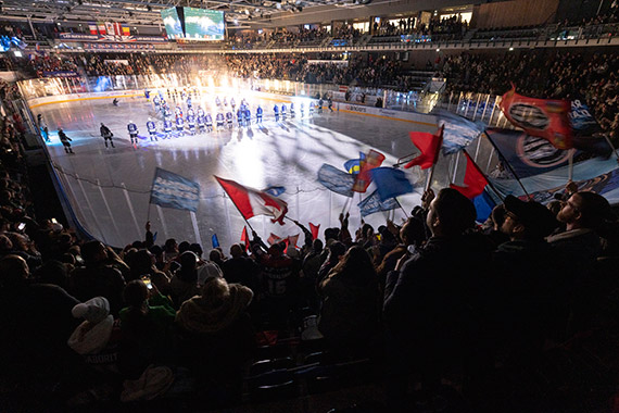 Les tribunes de l'IceParc lors d'un match des Ducs d'Angers.