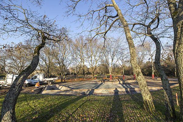 Photo d'aménagement végétal.