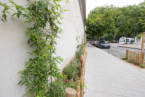 Inauguration du projet "Nos rues se mettent au vert" dans le cadre du Budget participatif de la Ville d'Angers.