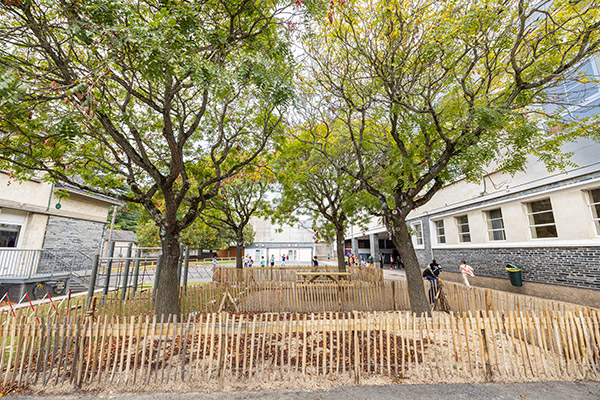 V&eacute;g&eacute;talisation de cour d'&eacute;cole