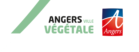 Angers ville v&eacute;g&eacute;tale