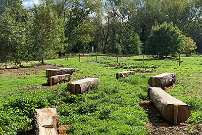 Terra Nostra : un nouvel espace naturel en libre &eacute;volution au coeur du parc Balzac