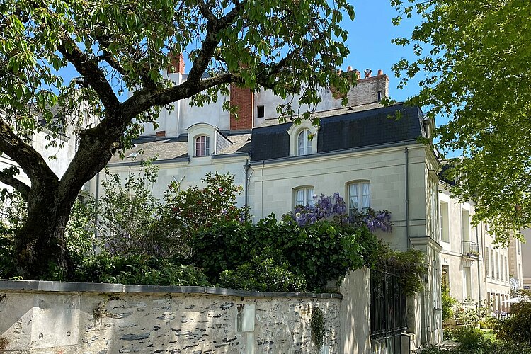 La Cité entre cours et jardins (parcours urbain)