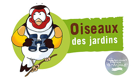 Observatoire participatif : Oiseaux des jardins / étape 1
