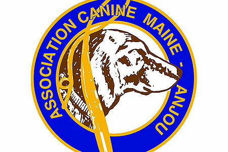 Exposition canine internationale