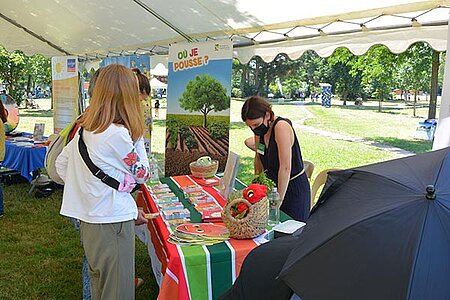 Jeux autour des fruits et légumes