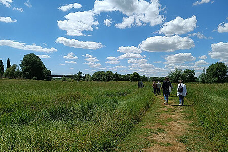 Visite libre du marais pédagogique de Briollay