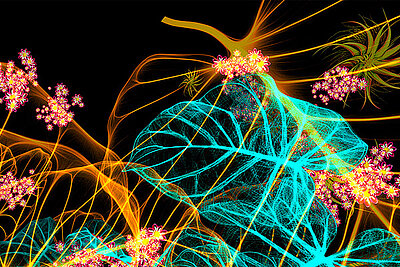 Que faire &agrave; Angers pendant les vacances de fin d'ann&eacute;e