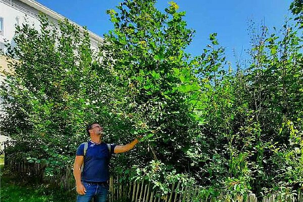 Deux miniforêts seront plantées en janvier