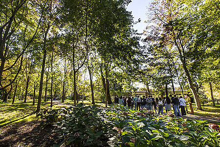 Les arbres du parc de l'Arboretum