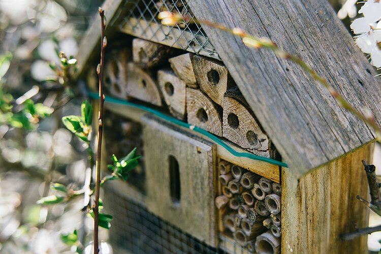 Crée ton mini hôtel à insectes / ATELIER DIY NATURE