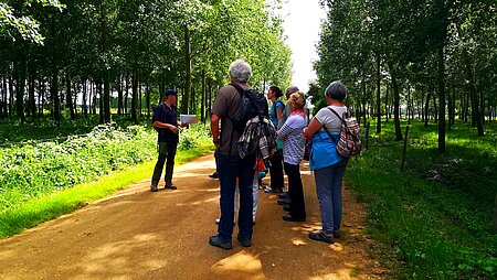Stage cueillette Plantes sauvages comestibles