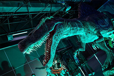 L'univers des dinosaures