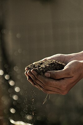 Un potager "organic-zé"