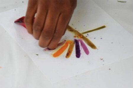 Atelier d'exploration végétale