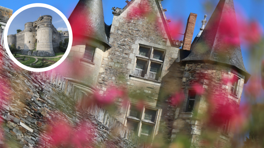 Visite au Château : Ô My Gardens !