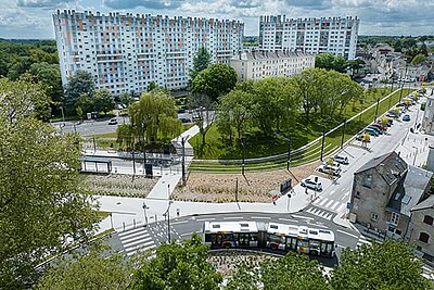 Quel est votre avis sur la transition écologique ?