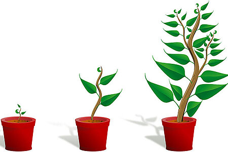 Découverte et dégustation de plantes à tisanes