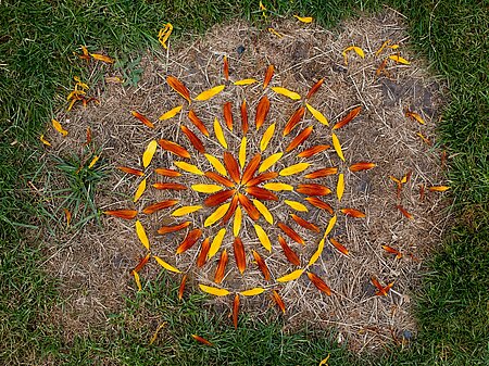 Artistes dans l'herbe