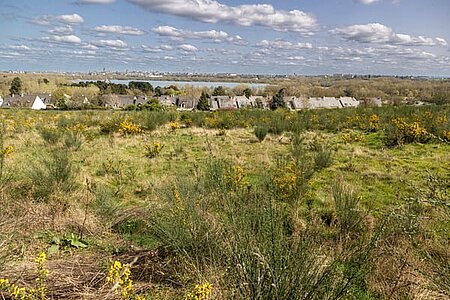 La forêt urbaine de Grésillé