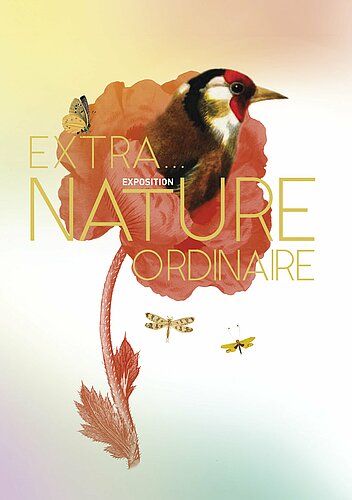 Nature Extra…Ordinaire