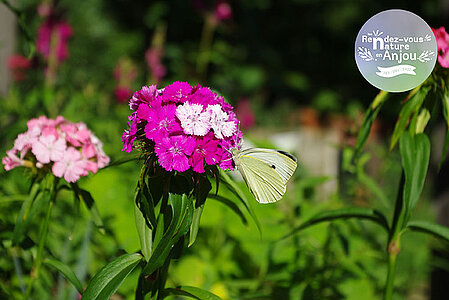 Espaces naturels sensibles en vue !