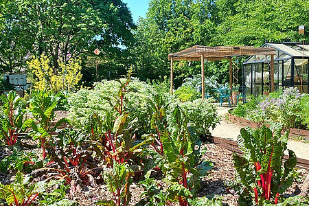 Suivez le jardinier