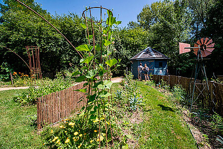 photo du jardin de bio de la maison de l'environnement