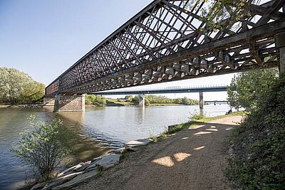 Une battue aux sangliers programm&eacute;e dans le secteur de la Tournerie