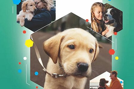 La fête des chiens guides