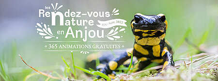 (Re)Découverte sensible