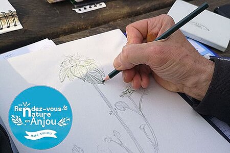 Dessine-moi un herbier