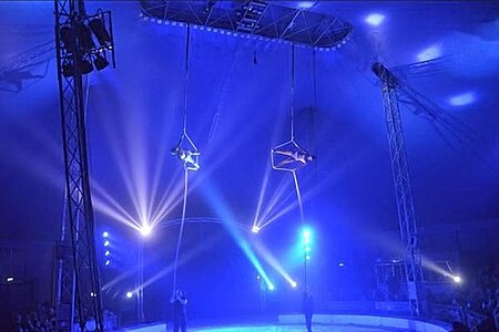 Le grand cirque de Noël