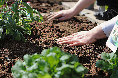 Atelier jardin: que faire au potager en février?