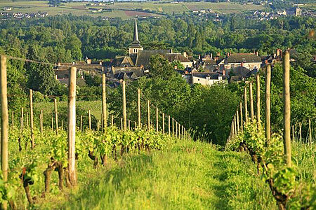 Promenade dans un paysage vivant pour un vin d'exception au domaine du Closel