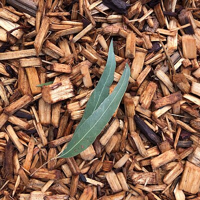 ANIMATION ANNULÉE // Les déchets verts, nouvelle ressource au jardin